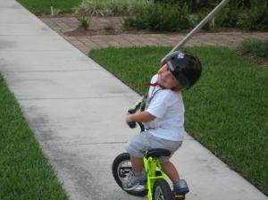 thumbs/IMG_0542_10_1.JPG.jpg