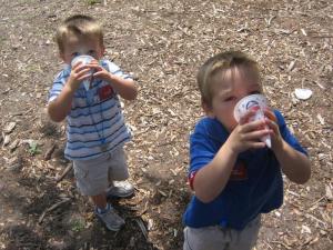 thumbs/IMG_0662_5_1.JPG.jpg