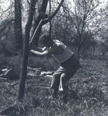 thumbs/090221-5-scans.jpg.jpg