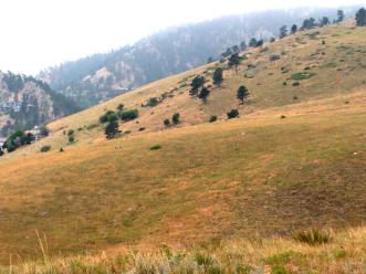 thumbs/foothills2-outside-of-boulder.jpg.jpg